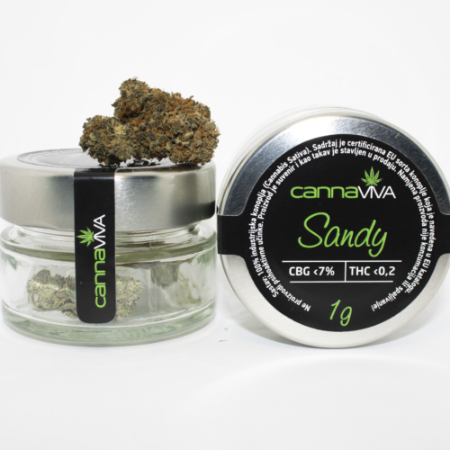 Sandy - 1 gram